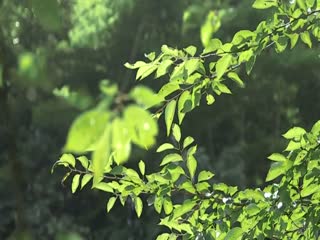 片段 13